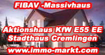  FIBAV Aktionshaus Stadthaus Cremlingen E55 EE