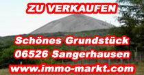Verkauf: Wochenendgrundstck in 06526 Sangerhausen
